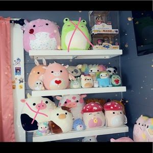 Selling all of my Squishmallows collection!